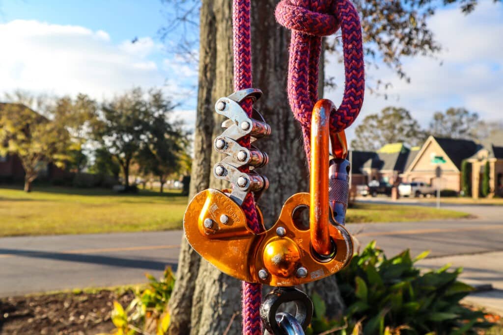 Tree removal gear
