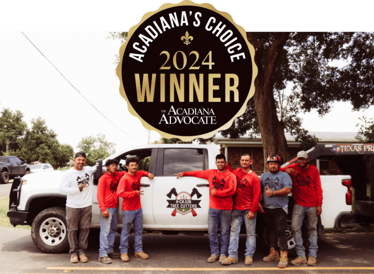 A Cajun Tree Cutters voted best tree service in Acadiana