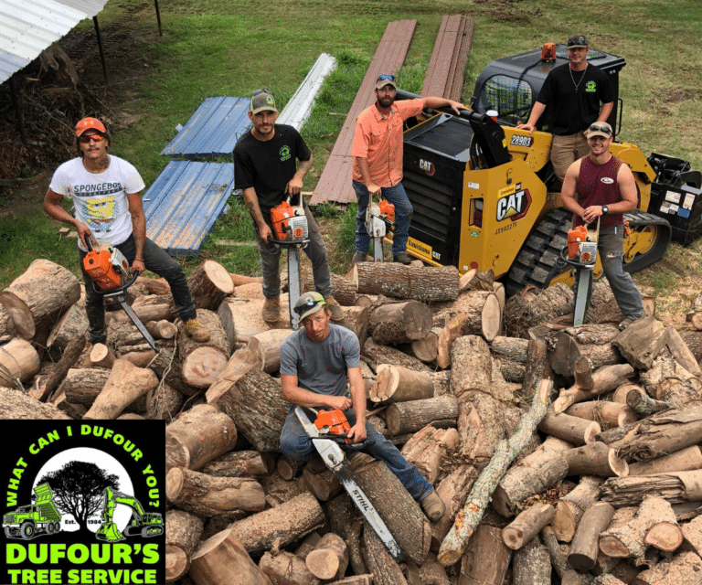 DuFour’s Tree Service crew working with chainsaws and heavy equipment